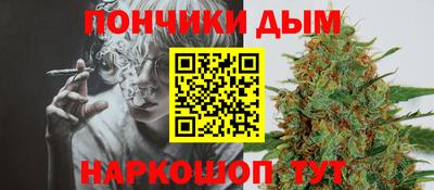 альфа пвп Новокубанск