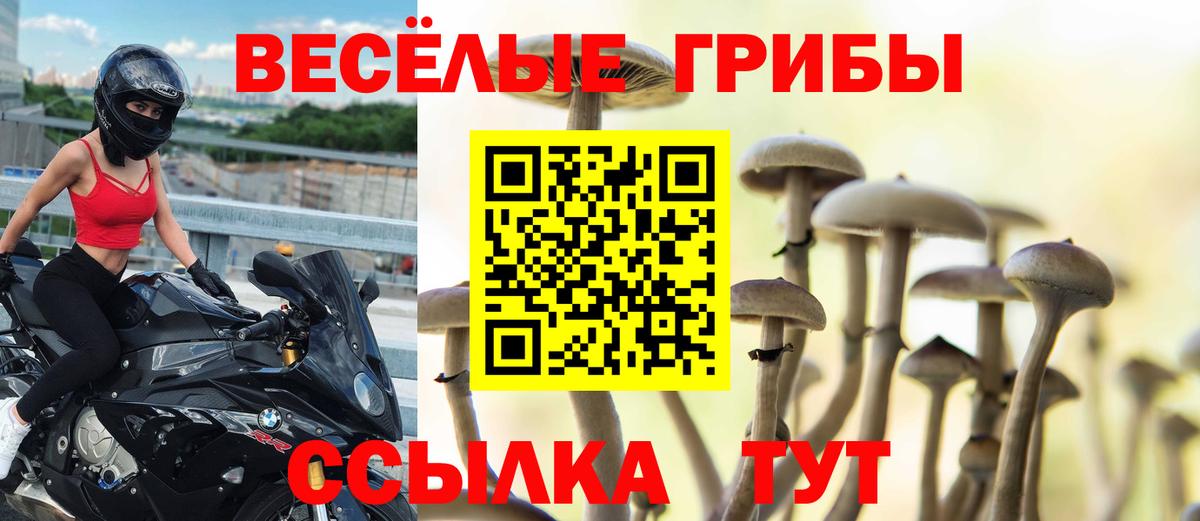 Галлюциногенные грибы Psilocybine cubensis Ростов Великий
